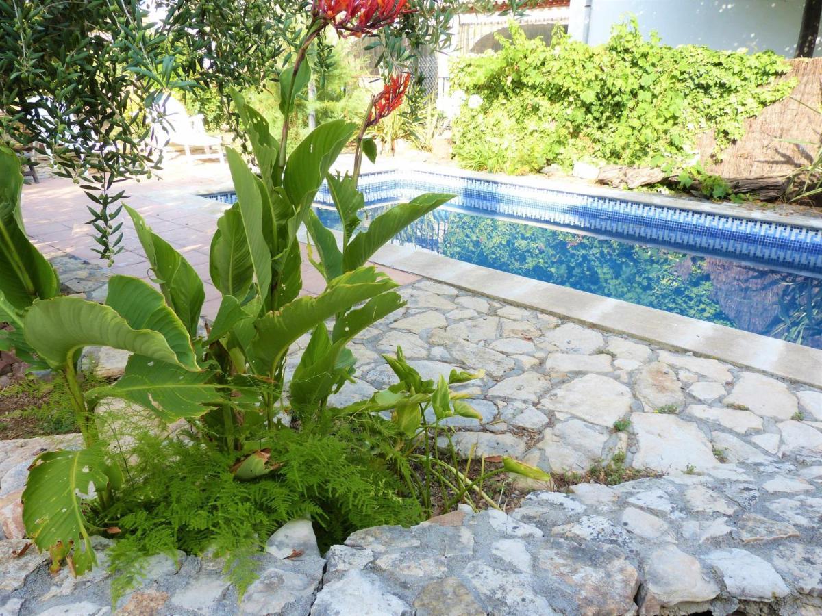 Hort De La Cinteta Alcover Exterior foto