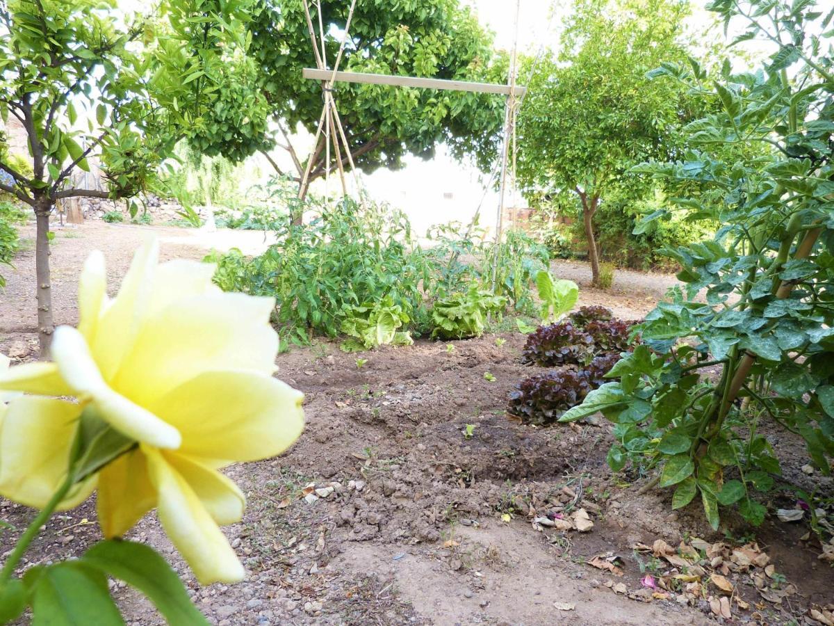 Hort De La Cinteta Alcover Exterior foto